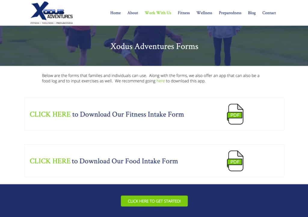 WordPress website development