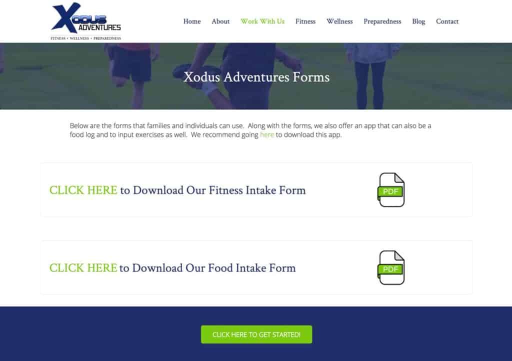 WordPress website development